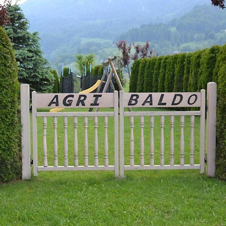 Апартаменты Agritur Agribaldo Lavanda Брентонико Экстерьер фото